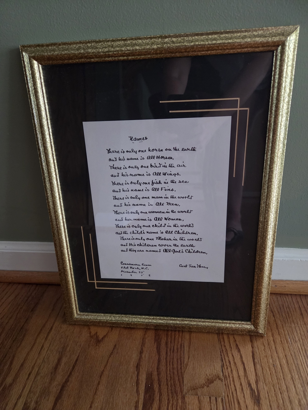 Gold Framed Poem "Names"- Decorative Wall Art with Black Mat